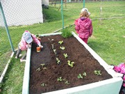 Zahradničíme ve školce